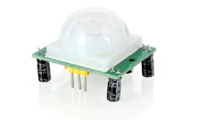 Electronic Motion Sensor